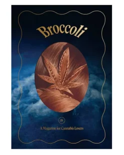 Broccoli Issue 19 | Books & Mags