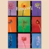 Broccoli Magazine Issue 20 | Books & Mags