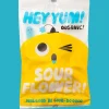 HEY YUM! Sour Flower - Organic Sour Fruit Gummies - 100g | Food