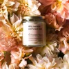 Hi Candle! Hi Candle and Pinky's - Wild Jasmine and Forest Fern | Scented Candles & Room Sprays | Scent & Care