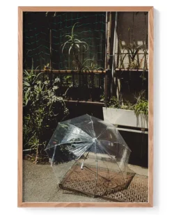 Hilary Walker - Umbrella, Tokyo | Art & Prints