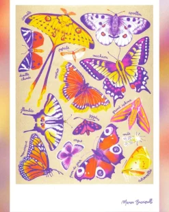 KIBLIND Atelier - Butterflies - Manon Bucciarelli | Fun Things For The Kitchen | Art & Prints