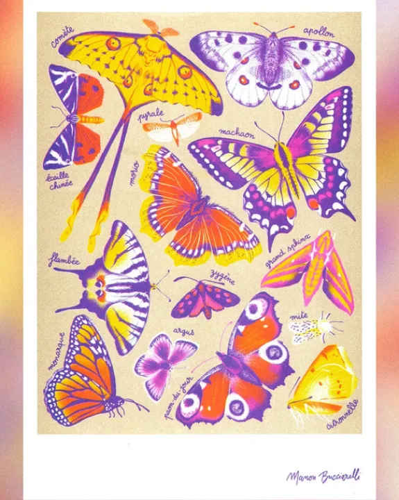 KIBLIND Atelier - Butterflies - Manon Bucciarelli | Fun Things For The Kitchen | Art & Prints