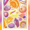 KIBLIND Atelier - Shells - Manon Bucciarelli | Fun Things For The Kitchen | Art & Prints