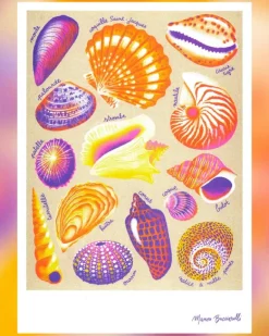 KIBLIND Atelier - Shells - Manon Bucciarelli | Fun Things For The Kitchen | Art & Prints