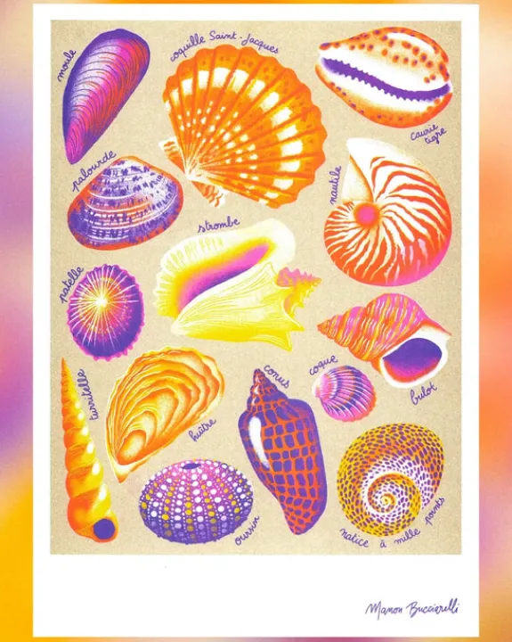 KIBLIND Atelier - Shells - Manon Bucciarelli | Fun Things For The Kitchen | Art & Prints
