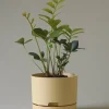 MR KITLY - Self-Watering Plant Pots - 215mm - PICK UP ONLY | Planters & Plant Care