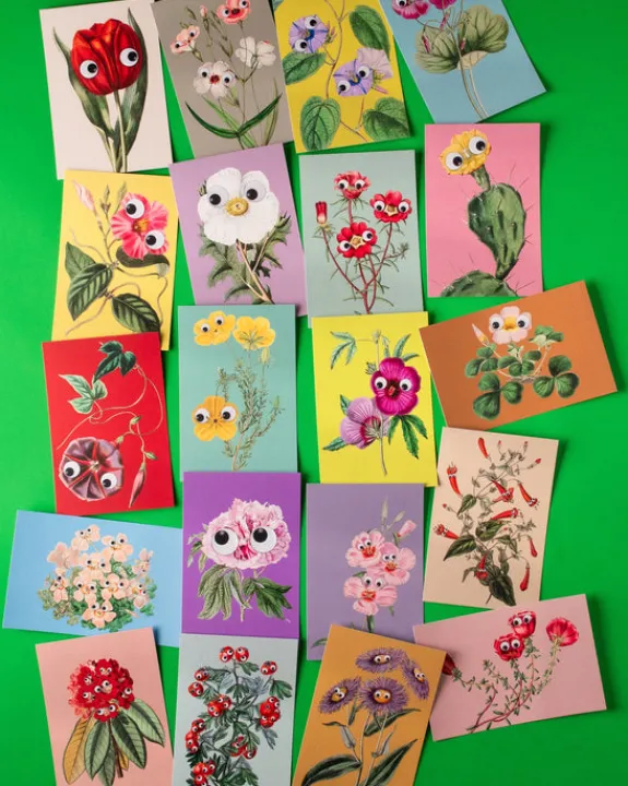 Stay Home Club - Googly Botany 20 Postcard pack | Mothers Day Cards | Farewell Cards