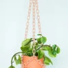 Woljam - Universal Hanger - Peach | Planters & Plant Care