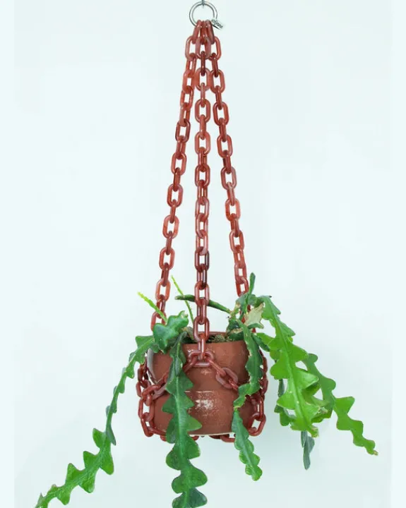Woljam - Universal Hanger - Rose | Planters & Plant Care