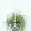 Woljam - Universal Hanger - White | Planters & Plant Care